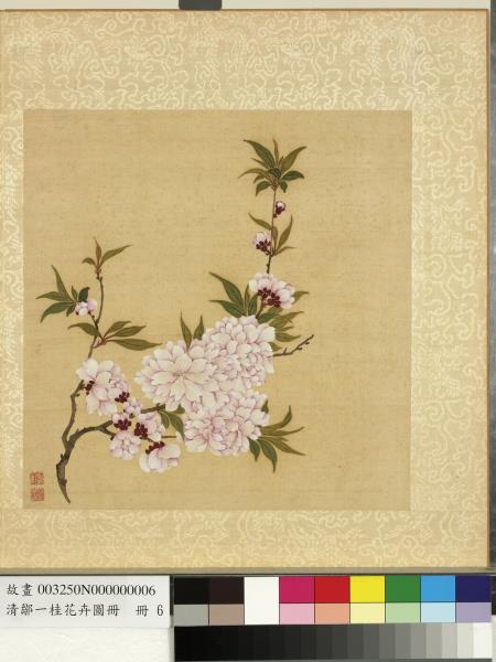 清鄒一桂花卉畫冊　冊　碧桃