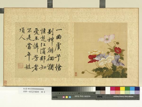 清鄒一桂花卉畫冊　冊　虞美人