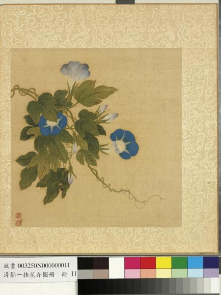 清鄒一桂花卉畫冊　冊　牽牛花