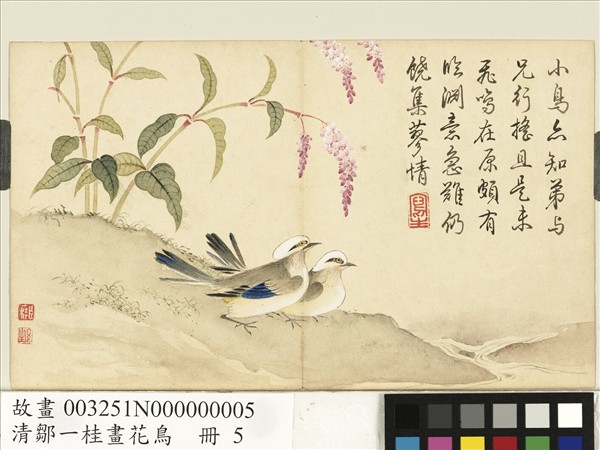 清鄒一桂畫花鳥　冊　紅蓼鶺鴒