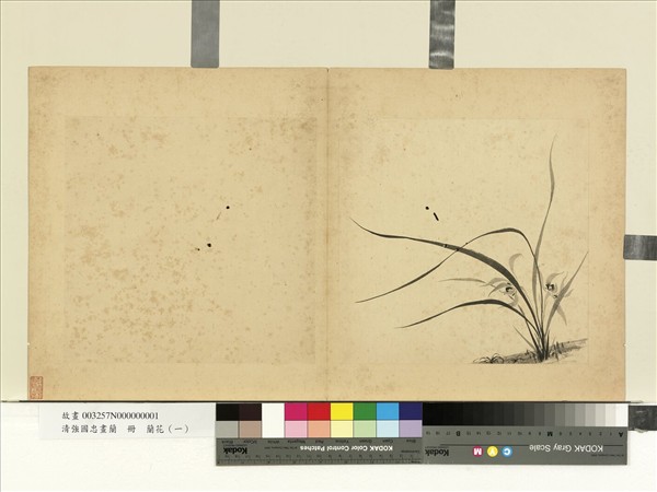 清強國忠畫蘭　冊　蘭花（一）