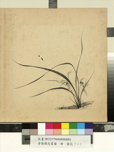 清強國忠畫蘭　冊　蘭花（一）
