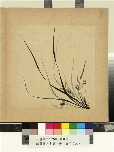 清強國忠畫蘭　冊　蘭花（三）