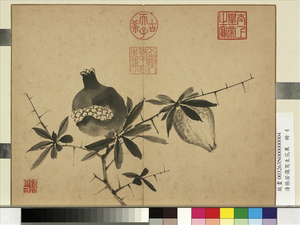 清張若靄寫生花果　冊　榴實