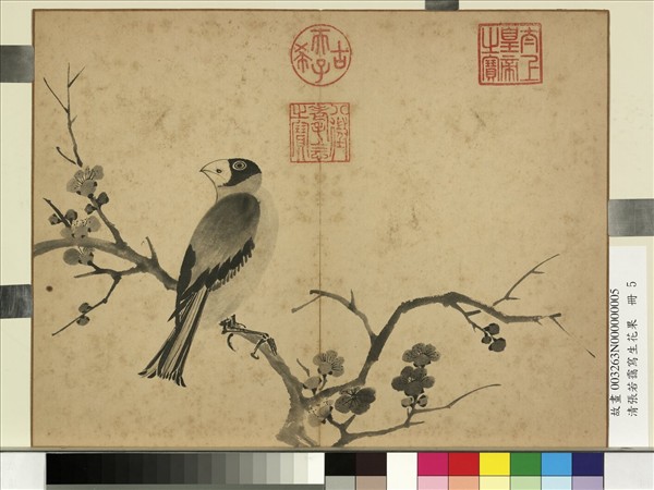 清張若靄寫生花果　冊　梅花蠟嘴