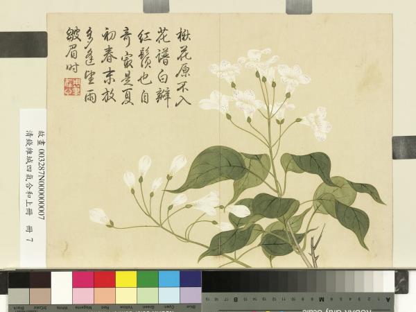 清錢維城畫四氣含和上冊　冊　楸花