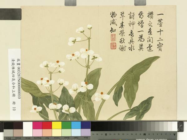 清錢維城畫四氣含和上冊　冊　水慈菇花