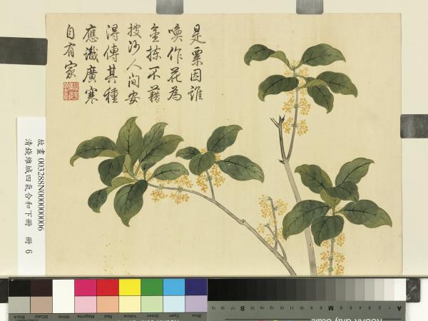 清錢維城畫四氣含和下冊　冊　桂花