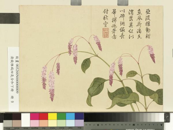 清錢維城畫四氣含和下冊　冊　水葒花