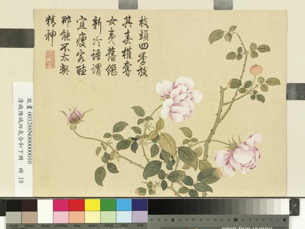 清錢維城畫四氣含和下冊　冊　月季花