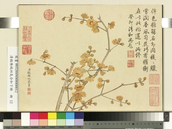 清錢維城畫四氣含和下冊　冊　蠟梅