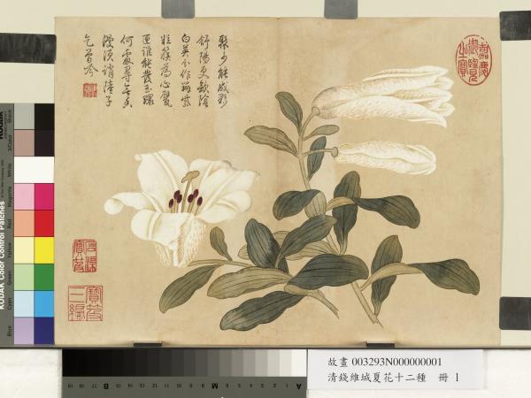 清錢維城夏華十二種　冊　百合花