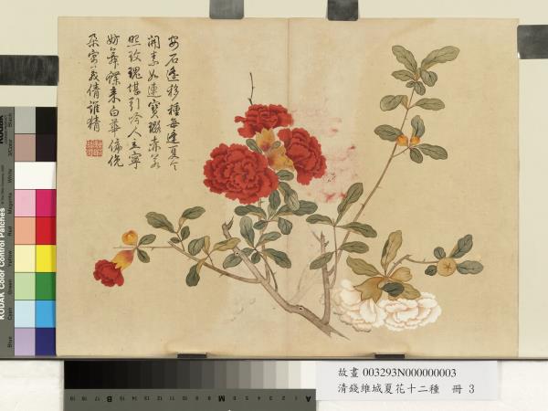 清錢維城夏華十二種　冊　石榴花