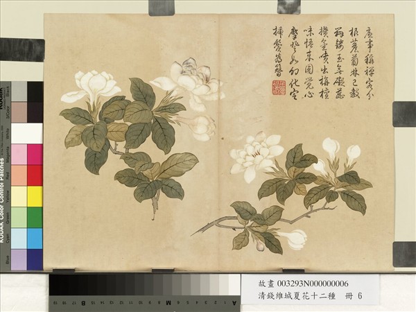 清錢維城夏華十二種　冊　梔枝花