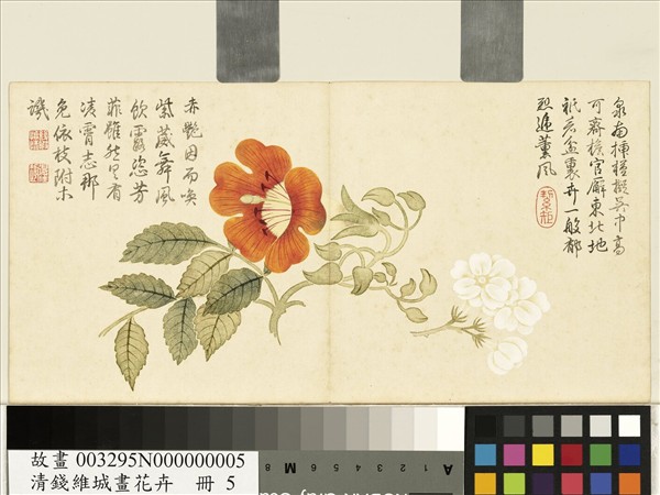 清錢維城畫花卉　冊　茉莉凌霄