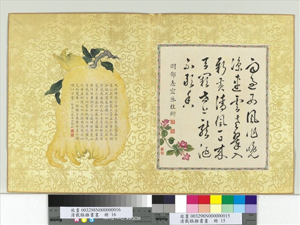 清戴臨雜書畫　冊　詠桂樹