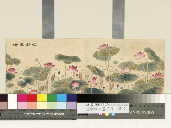 清劉權之畫花卉　冊　望舒呈瑞