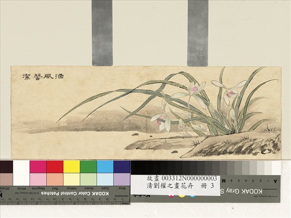 清劉權之畫花卉　冊　涵風馨潔