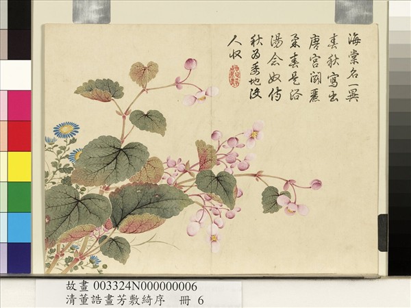 清董誥畫芳敷綺序　冊　秋海棠