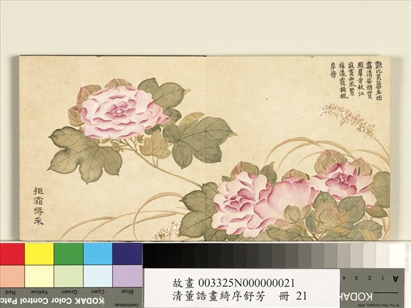 清董誥畫綺序舒芳　冊　拒霜縟采