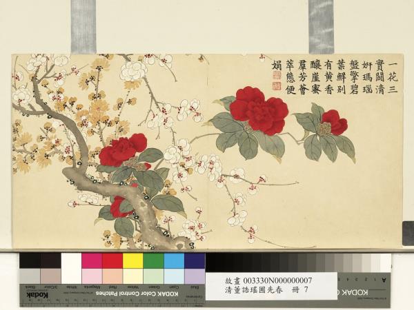 清董誥瑤圃先春　冊　梅花臘梅山茶