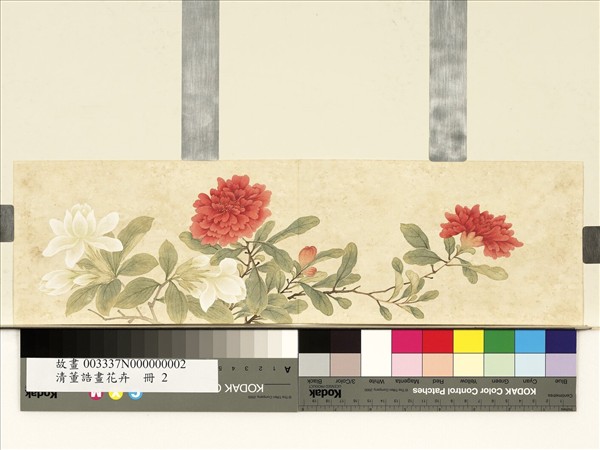 清董誥畫花卉　冊　石榴梔子