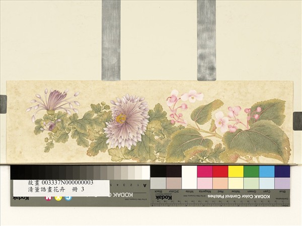 清董誥畫花卉　冊　菊花海棠