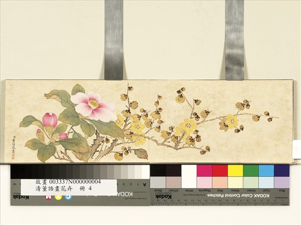 清董誥畫花卉　冊　蠟梅茶花