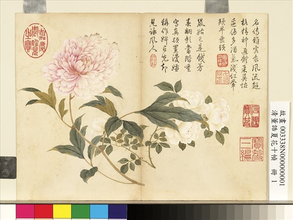 清董誥夏花十幀　冊　芍藥月季
