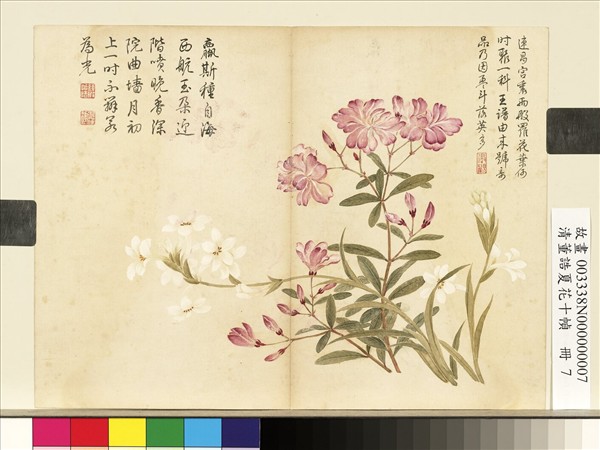 清董誥夏花十幀　冊　夾竹桃晚香玉