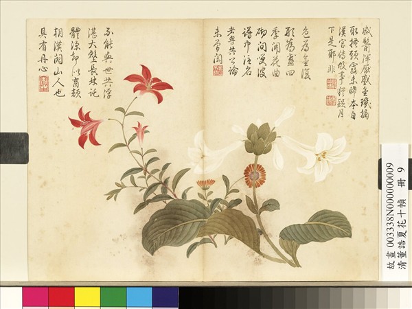 清董誥夏花十幀　冊　玉簪山丹