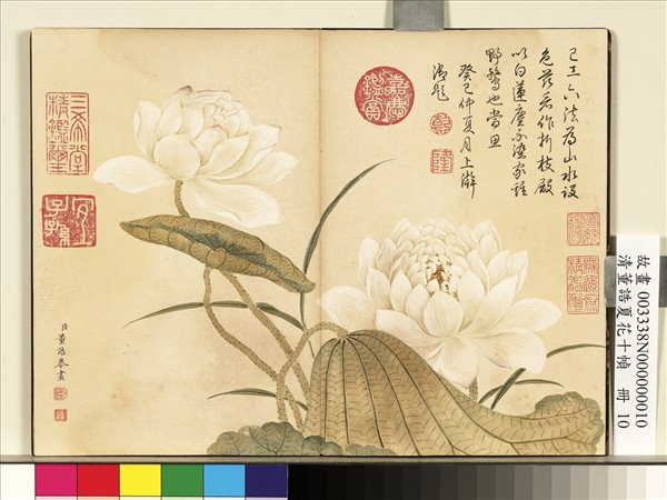 清董誥夏花十幀　冊　荷花