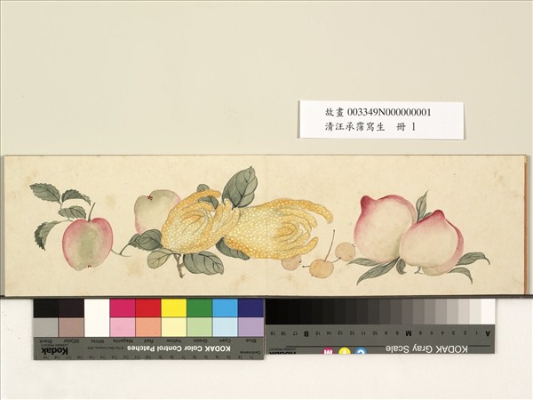 清汪承霈寫生　冊　畫佛手諸蔬果