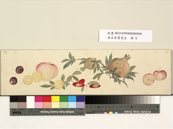 『0356』田能村竹田 浦上春琴 柘榴図 自画賛合作 紙本 白須心華箱書 掛軸 0356』田能村竹田 浦上春琴 柘榴図 自画賛合作 紙本 白須心華箱