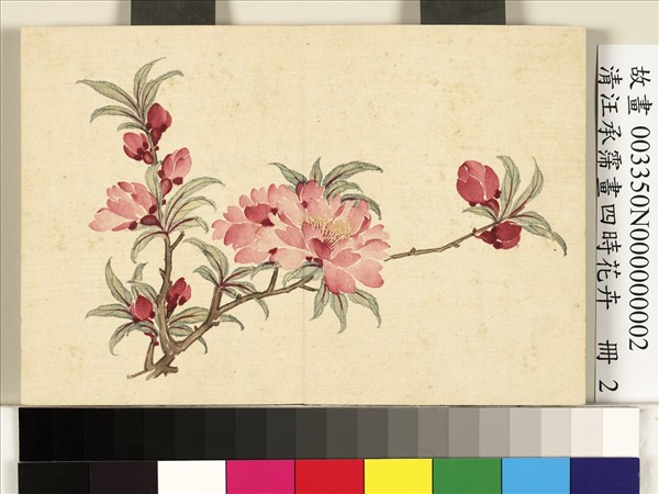 清汪承霈畫四時花卉　冊　碧桃
