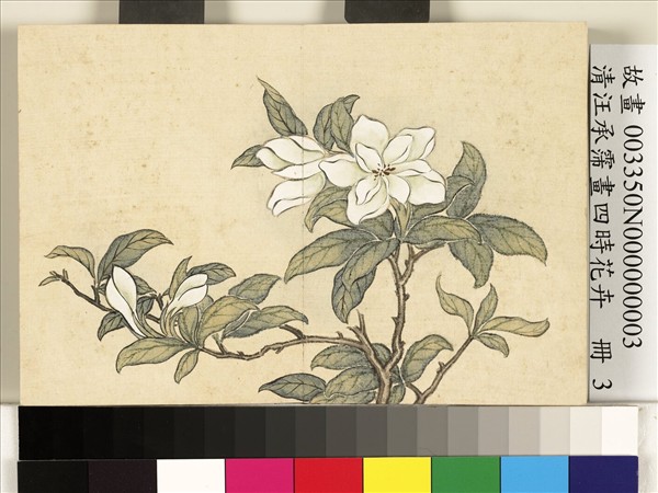 清汪承霈畫四時花卉　冊　梔枝
