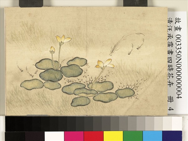 清汪承霈畫四時花卉　冊　花魚