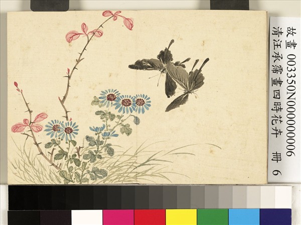 清汪承霈畫四時花卉　冊　菊花小蝶