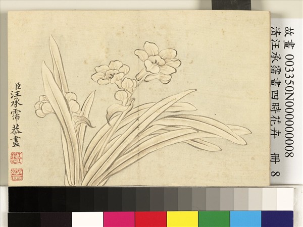 清汪承霈畫四時花卉　冊　水仙
