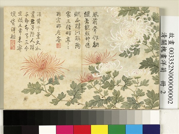 清關槐畫洋菊　冊　鶴翎素蜜蠟蓮