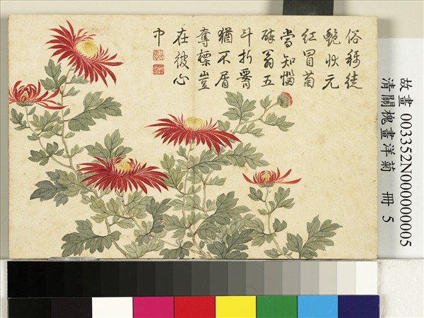 清關槐畫洋菊　冊　奪錦標