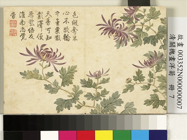 清關槐畫洋菊　冊　桂叢紫