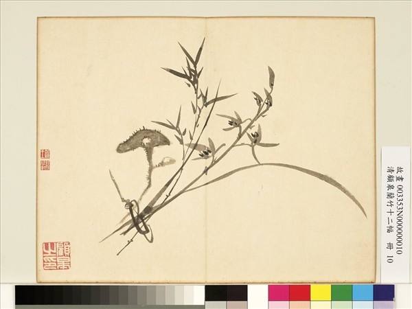 清顧皋蘭竹十二幅　冊　畫蘭竹靈芝