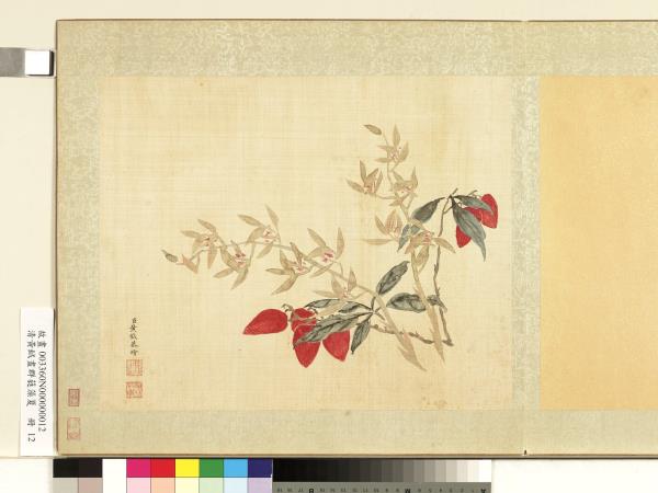 清黃鉞畫群蕤藻夏　冊　畫荔枝香蕙