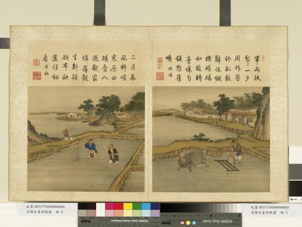 清陳枚畫耕織圖　冊　布秧