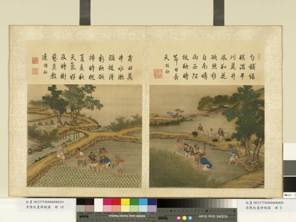 清陳枚畫耕織圖　冊　拔秧