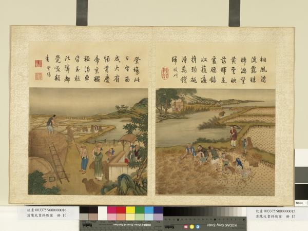 清陳枚畫耕織圖　冊　收刈