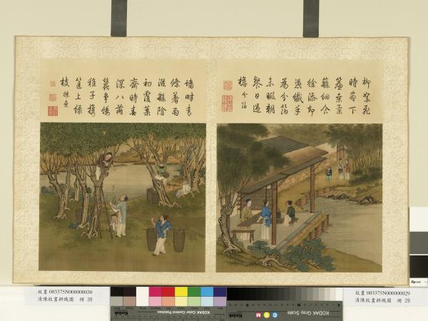 清陳枚畫耕織圖　冊　採桑