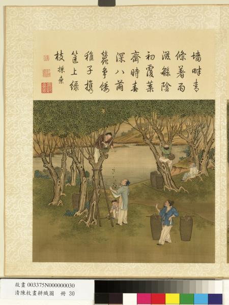 清陳枚畫耕織圖　冊　採桑