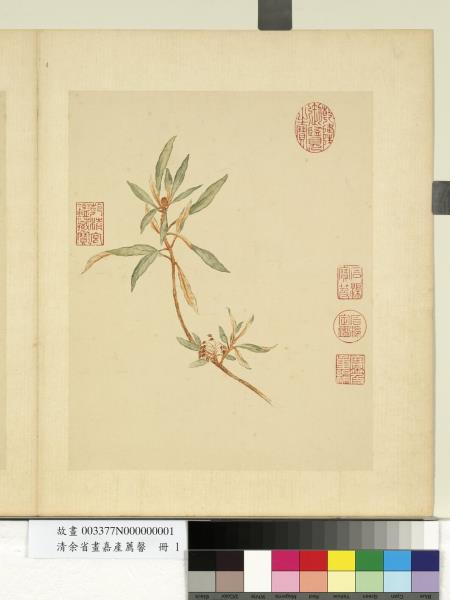 清余省畫嘉產薦馨　冊　白茅香